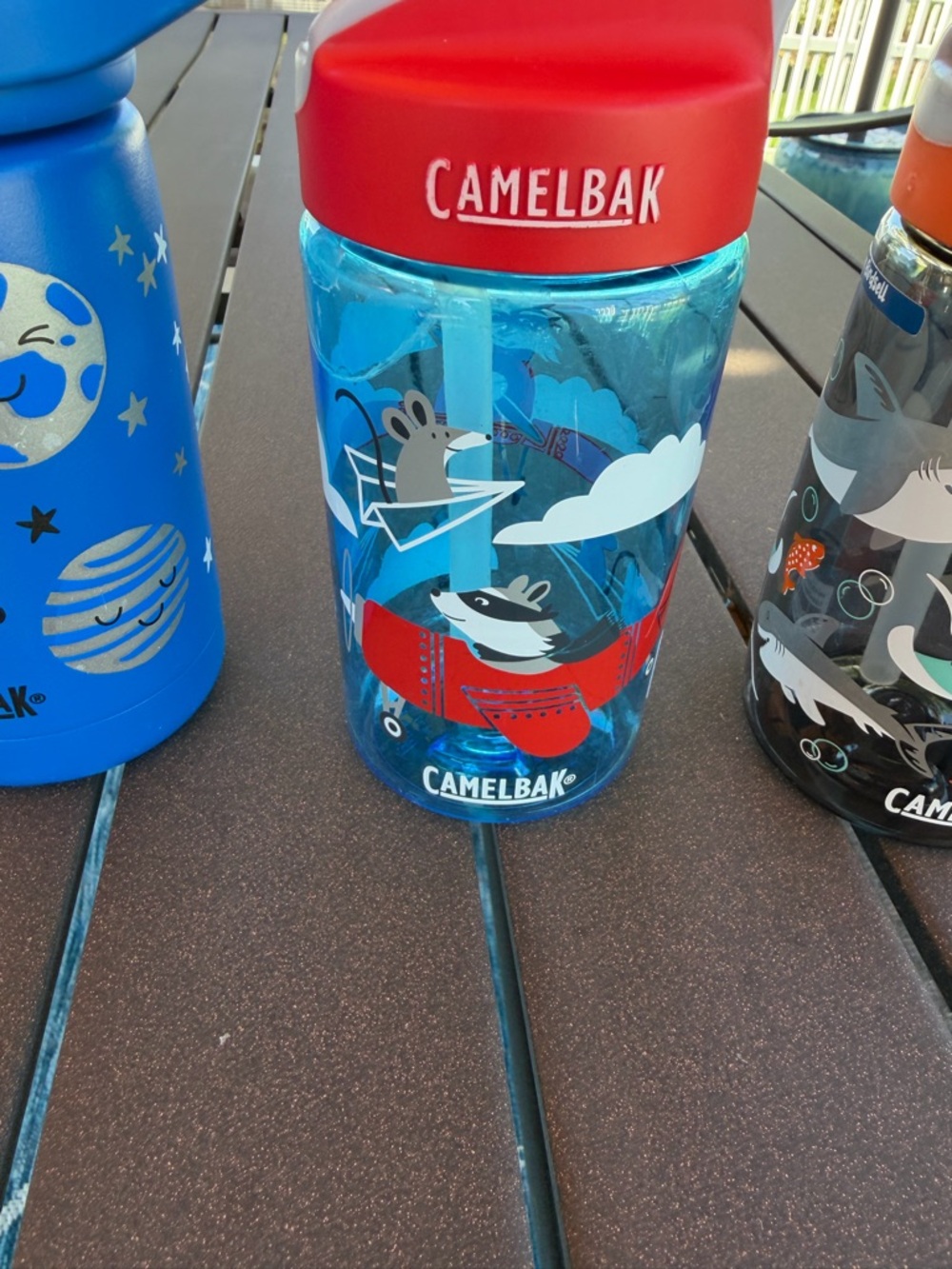 Bundle of 3 Boys Camelbak Eddy Water Bottles and Lids. - Picture 2 of 13